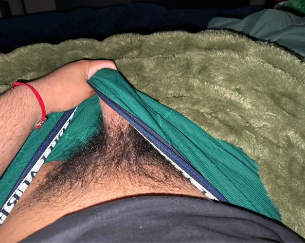 Thick bush by Sea-Salary-6543