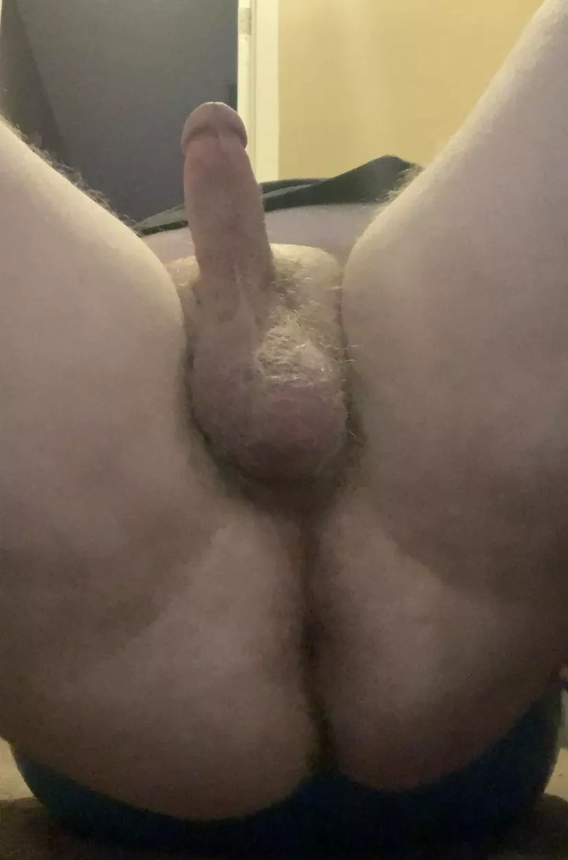 Who wants to ride this dick? posted by thehaunteddisco