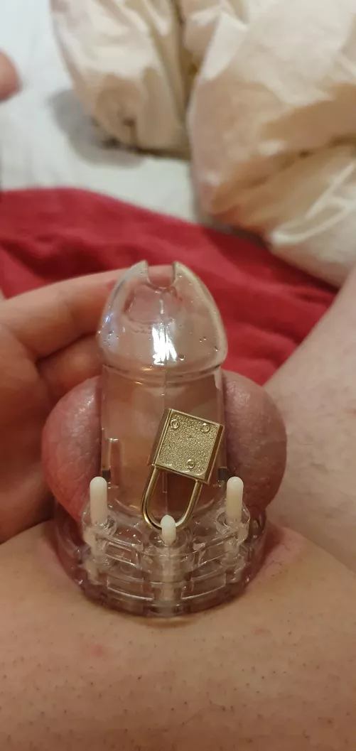 19 first cage xxx by uksissybittch