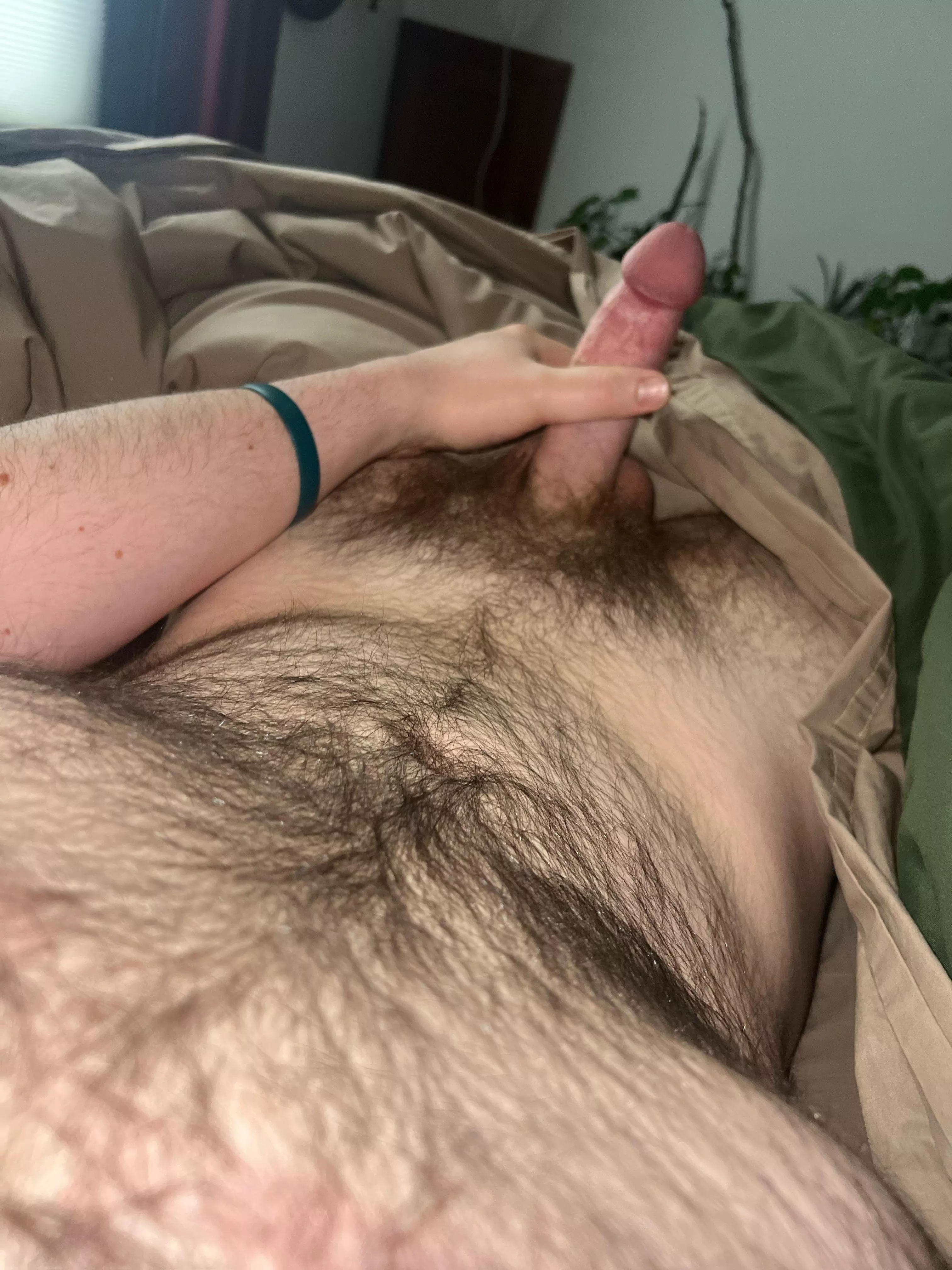 20 Vermont looking to jerk and cum with hairy/uncut men. Sc: Alagator1234 posted by Alagator1234