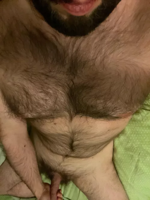 36 hairy married masculine looking for similar men Add me on Skype live:.cid.58d95fd47afa68cd by bryc244