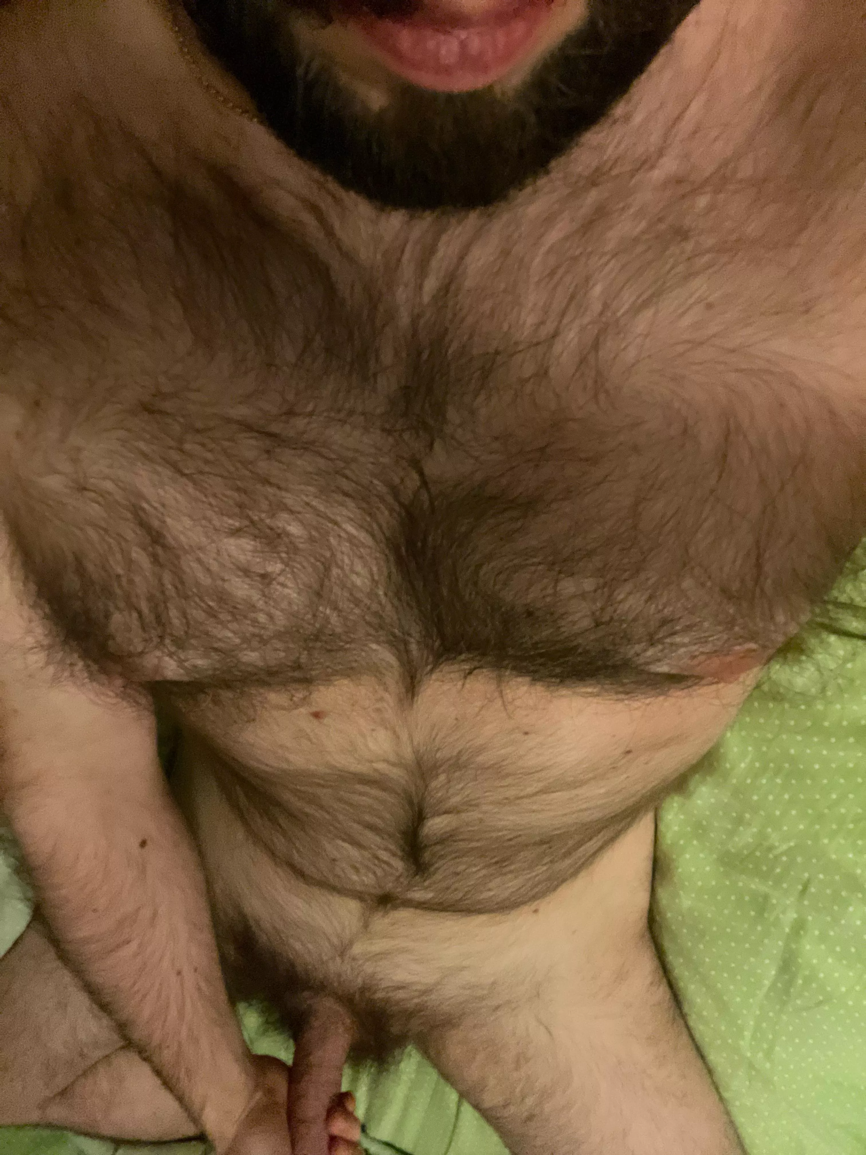 36 hairy married masculine looking for similar men Add me on Skype live:.cid.58d95fd47afa68cd posted by bryc244