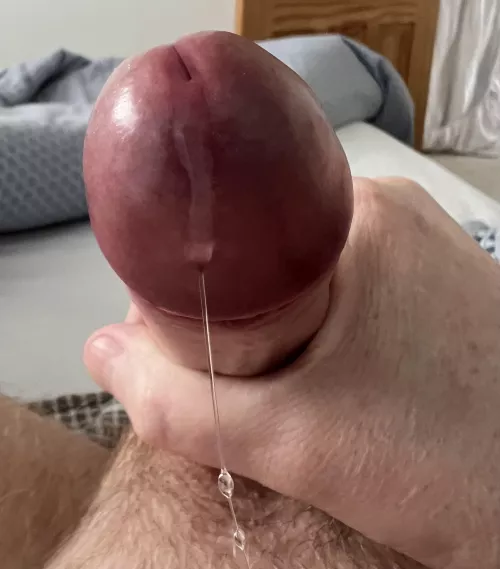 (55) [M4F] #UK Wiltshire Daddy needs your attention by wilberzone