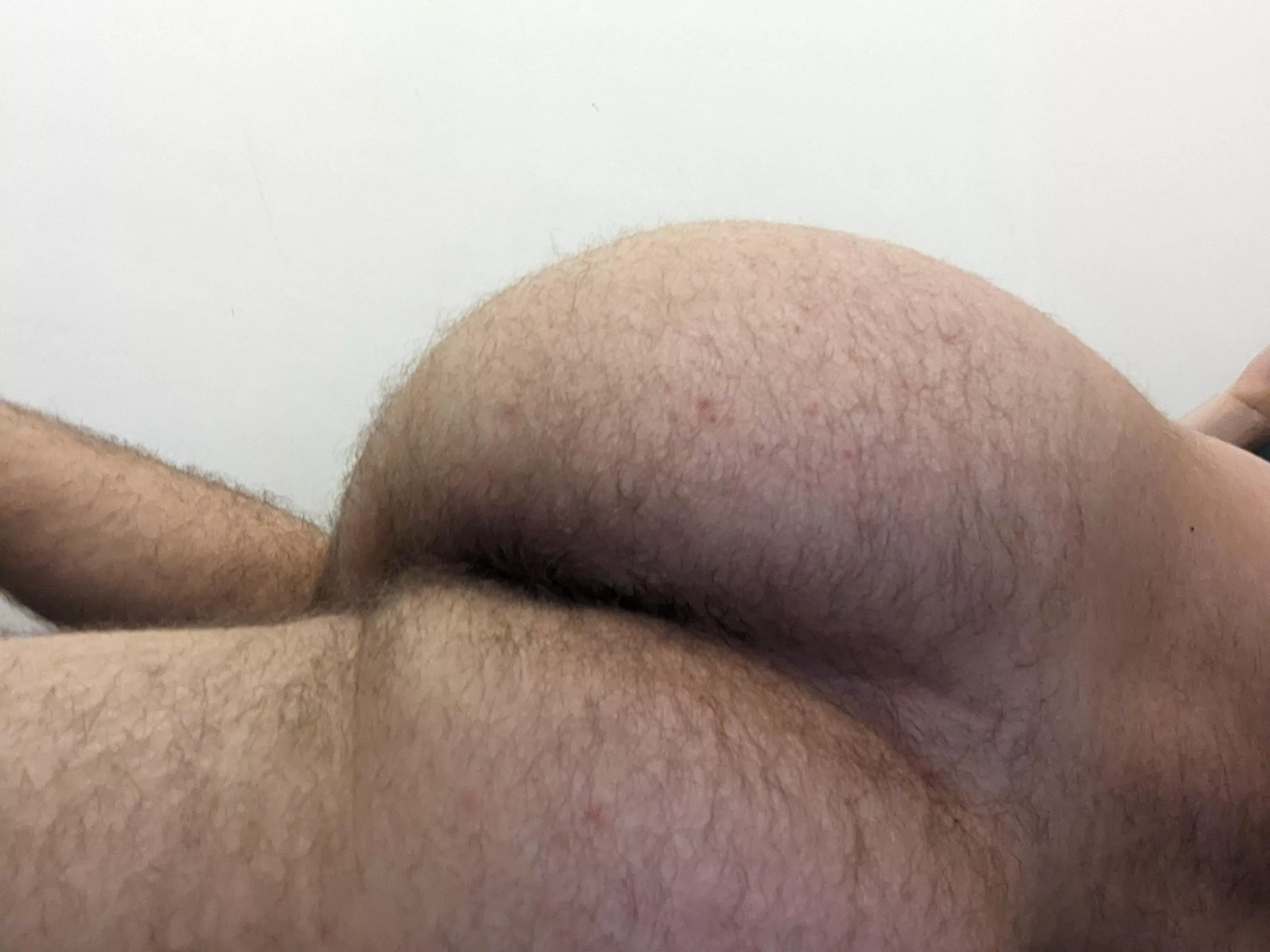 Been a while since my last post  posted by wannabepup03