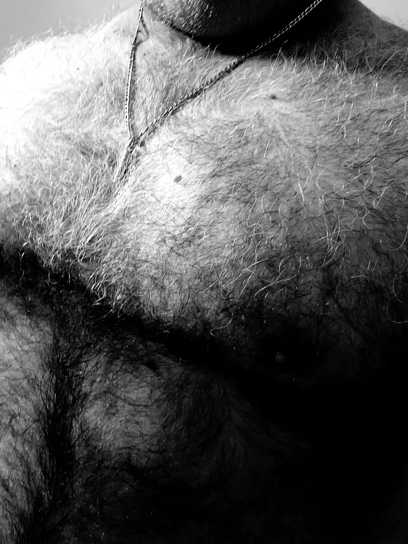 Big Daddy Dom Bear in his 50's testing the waters by Big-Daddy-XO