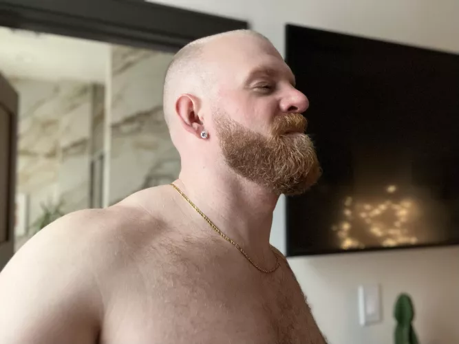 Big n bearded by cornfed405