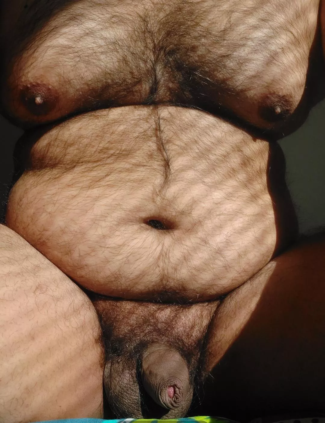 Chubby Brown Boy..Looking to have tits sucked posted by ComfortableAd5635