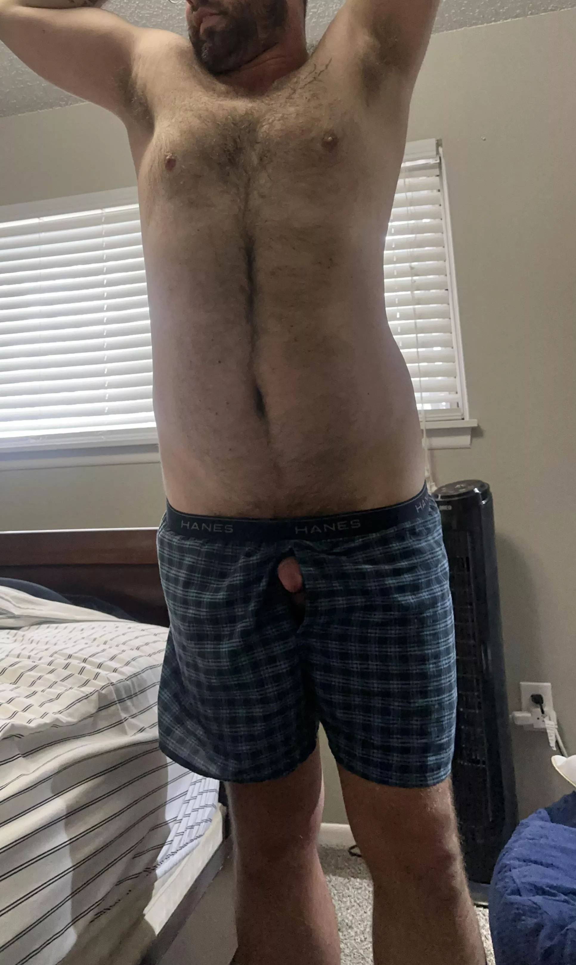 Do you like my hairy belly?  posted by No_Occasion_5313