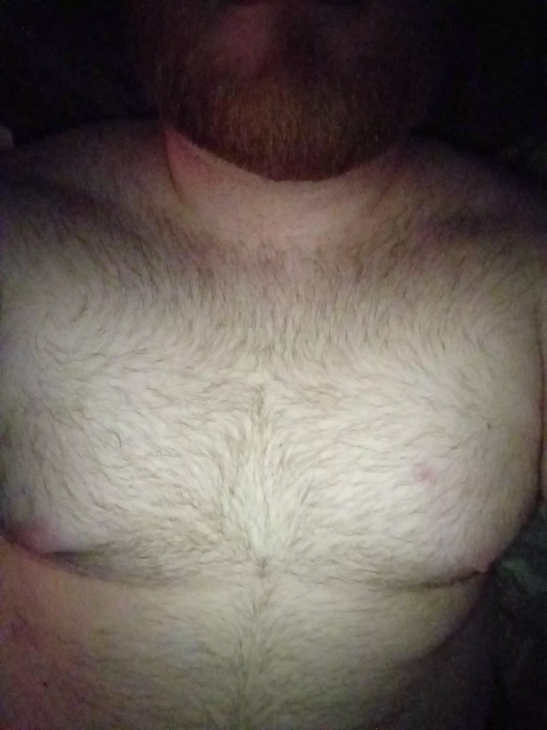 Hairy for filthy talk  posted by WholeWait3893