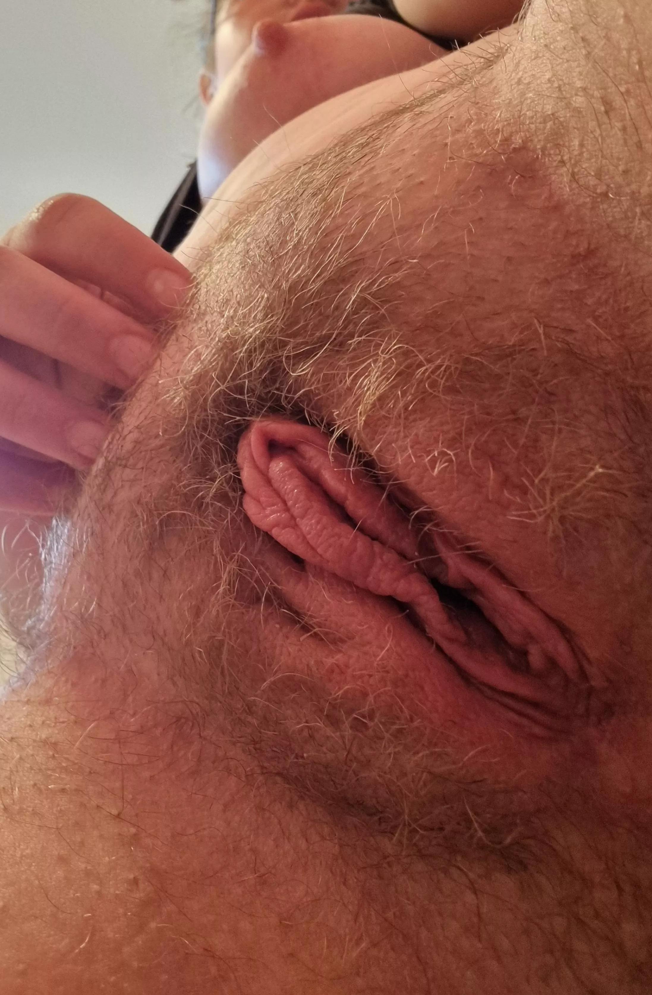 [H]ow hairy should I go? posted by thisisfornothing112