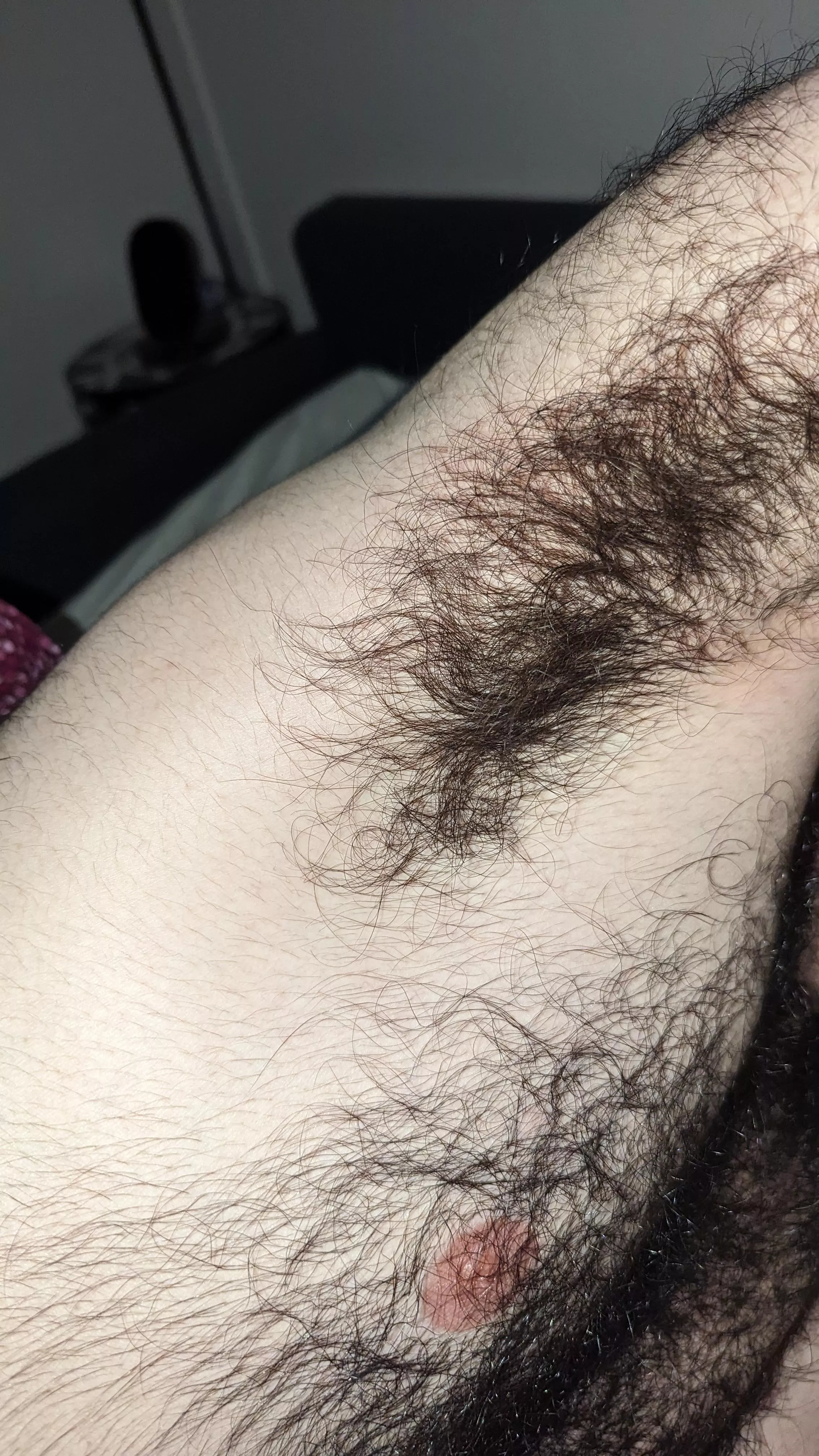 Just another hairy armpit. posted by Anxious_Ananas_643