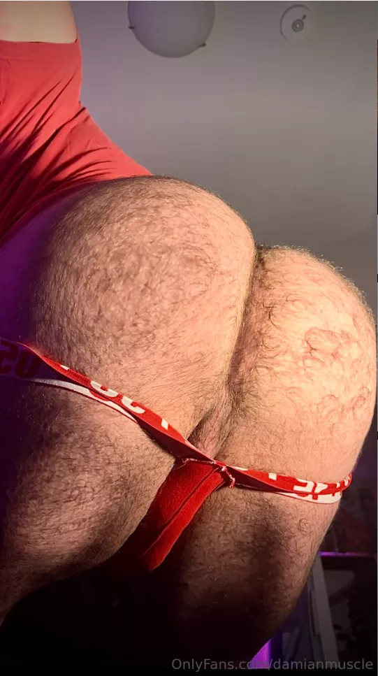 Kings Here (33)(m) posted by Damiantheone96