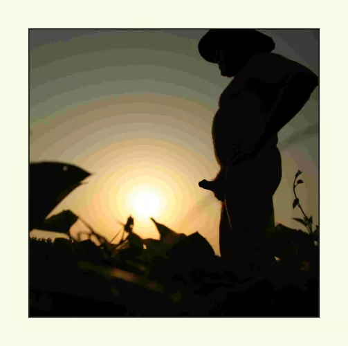 M60 - enjoying the sun set by Sunnysideup60