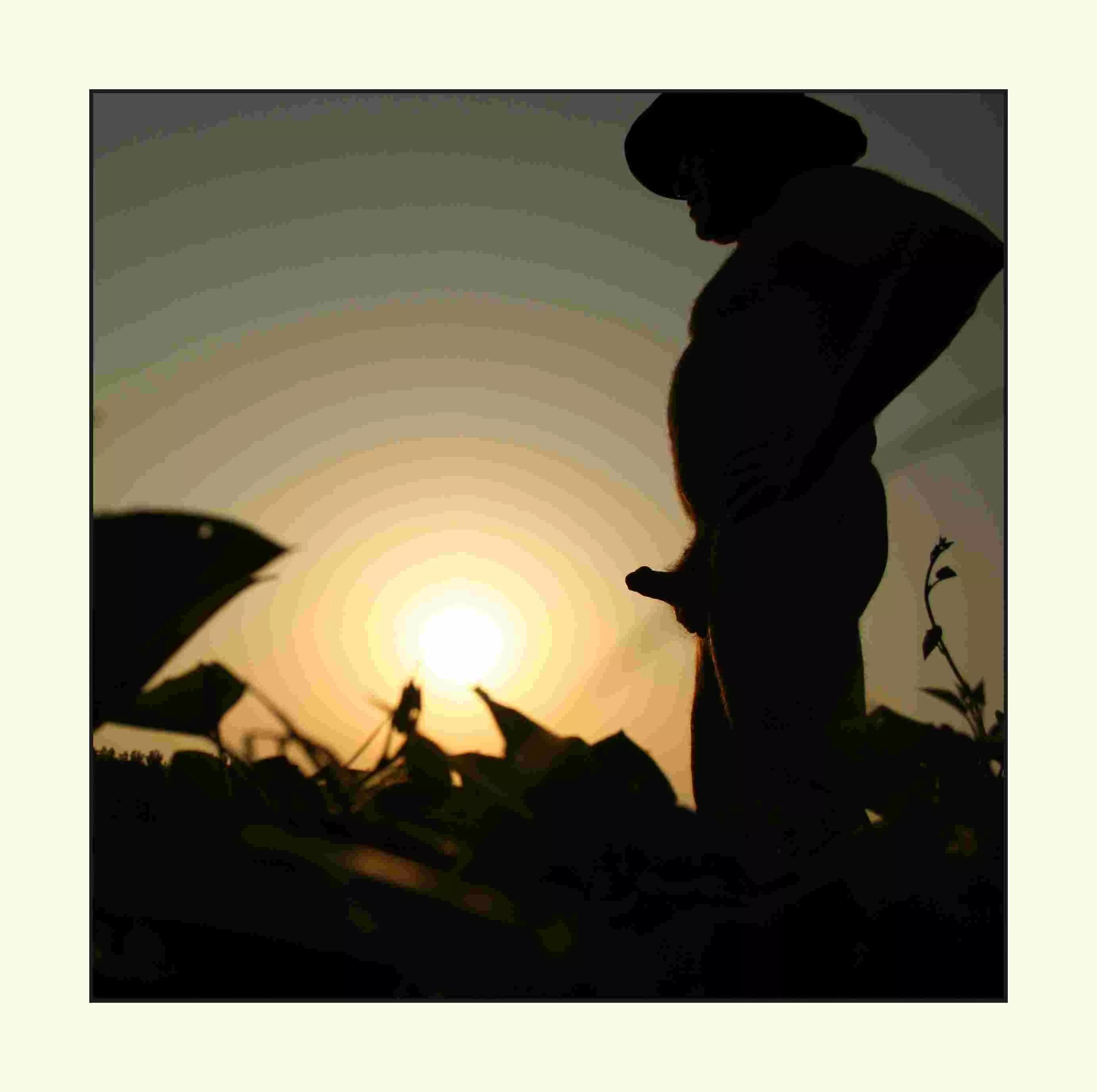 M60 - enjoying the sun set posted by Sunnysideup60