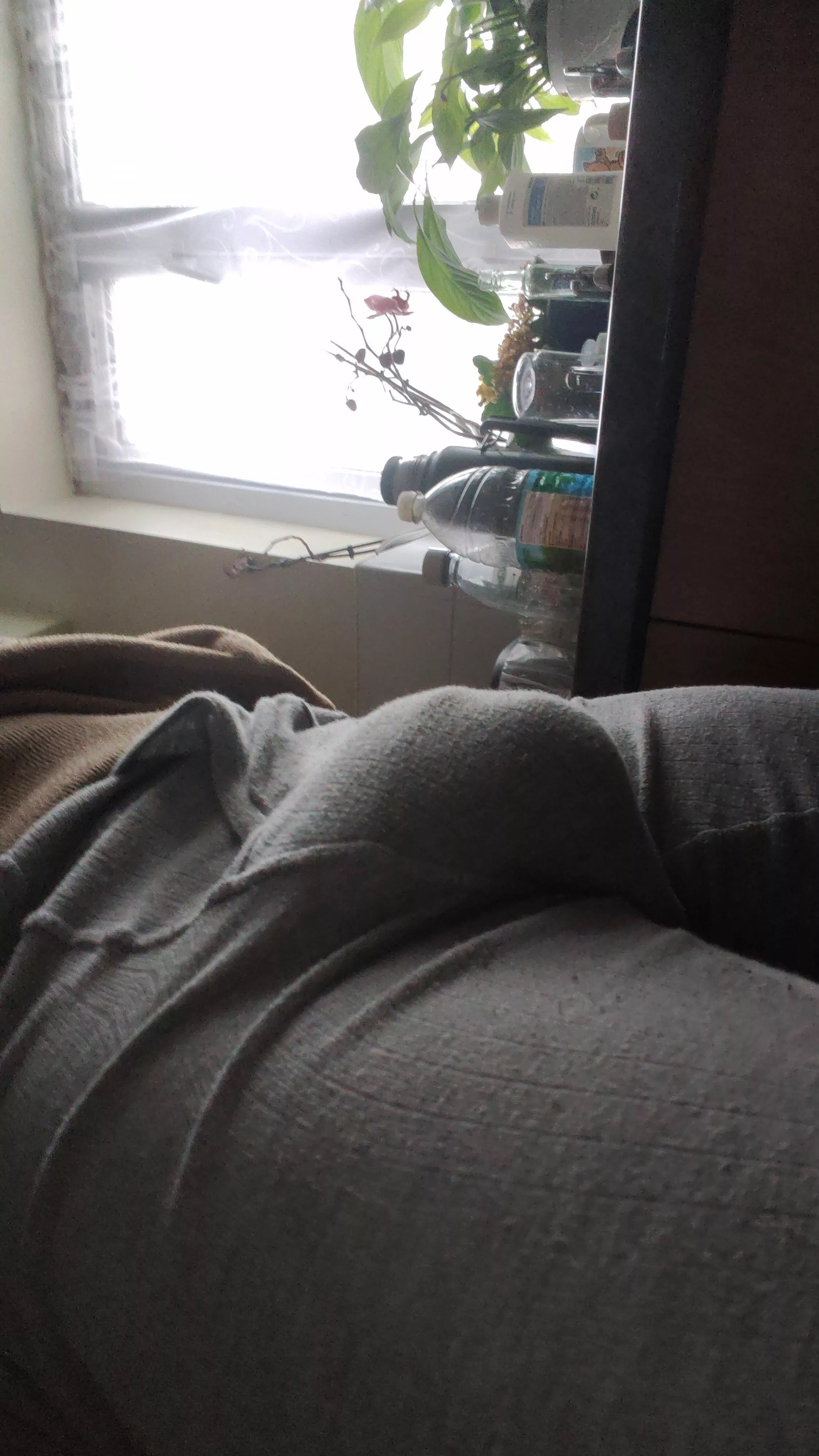 My bulgee  posted by Old_Youth_6255