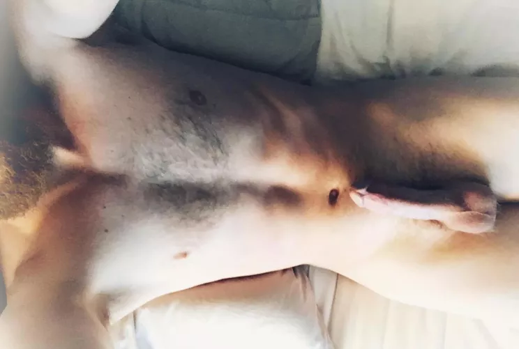 Rise and shine ⛅️  by TheWettestDream86