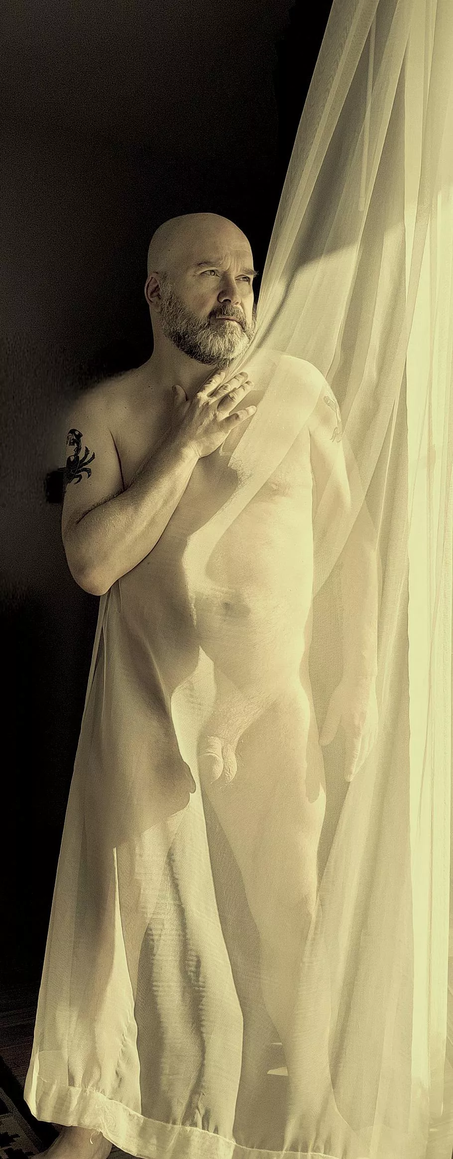 Sheer nudity (53) posted by orangechrub