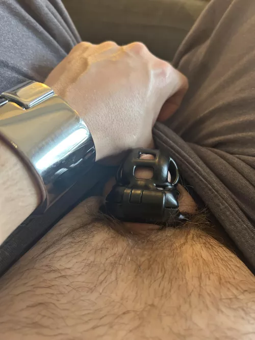 Starting the weekend off locked in my new cage  by burlboy13