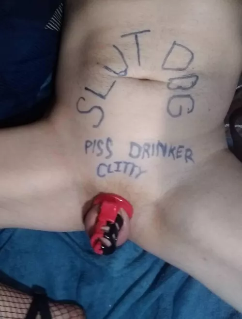 Tagged by my Mistress... by Van_Hatfield