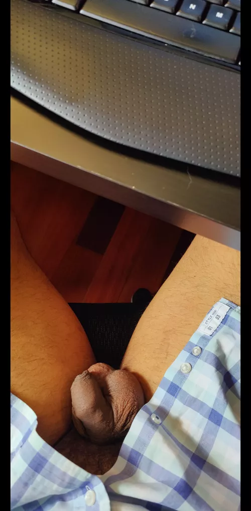 The afternoon sun is one of the benefits of working from home by Cheap_Manner_7059