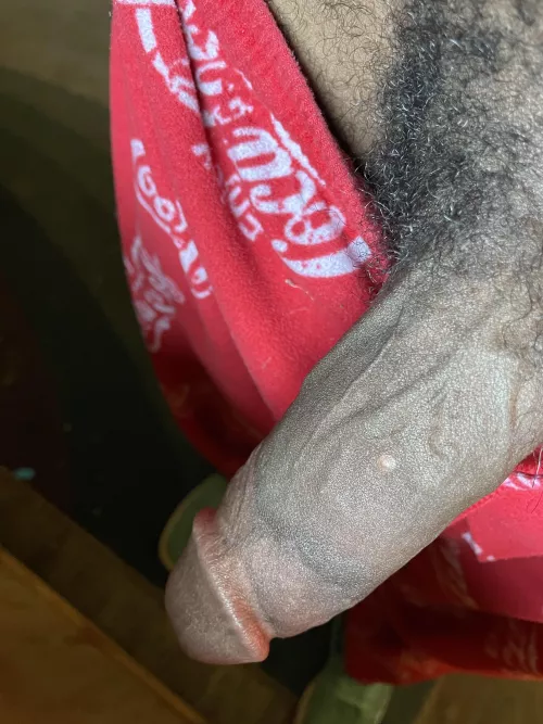 Anyone want to offer some assistance 😉. And always down for gaming buddies. Play Fortnite overwatch and so much more so hmu😉😉 by bearlovergaymer