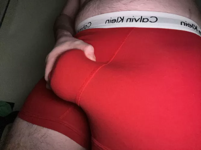 Dms are open by pony12345678910