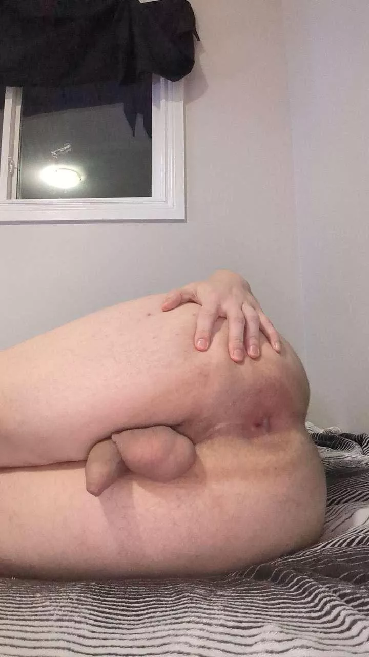 Eat my ass posted by Interesting-Tea-4504