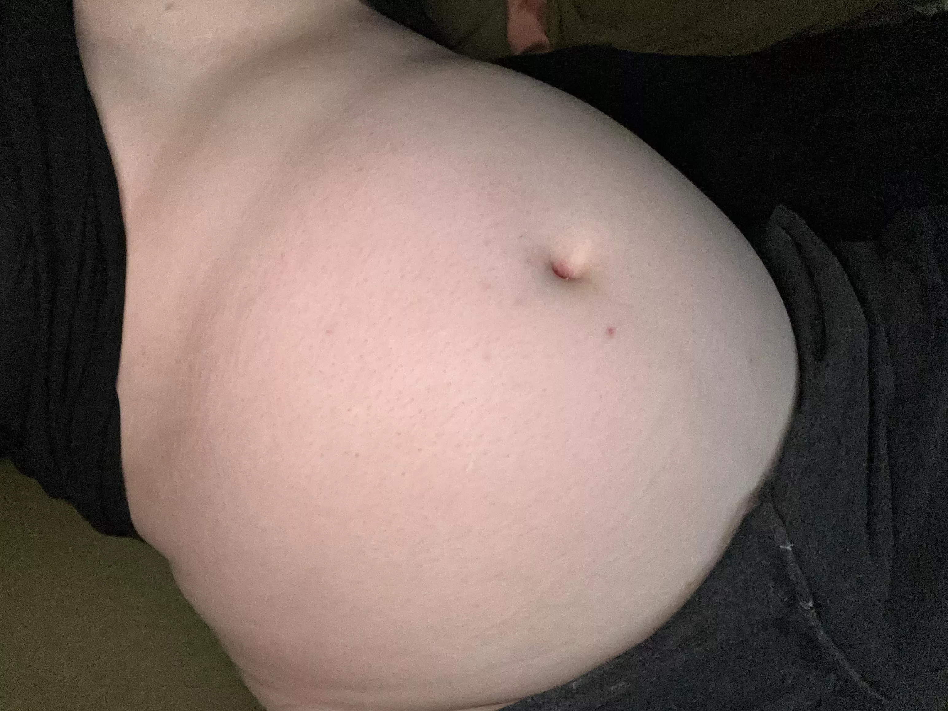 Fat pig needs teasing 🐽 posted by anonbelly