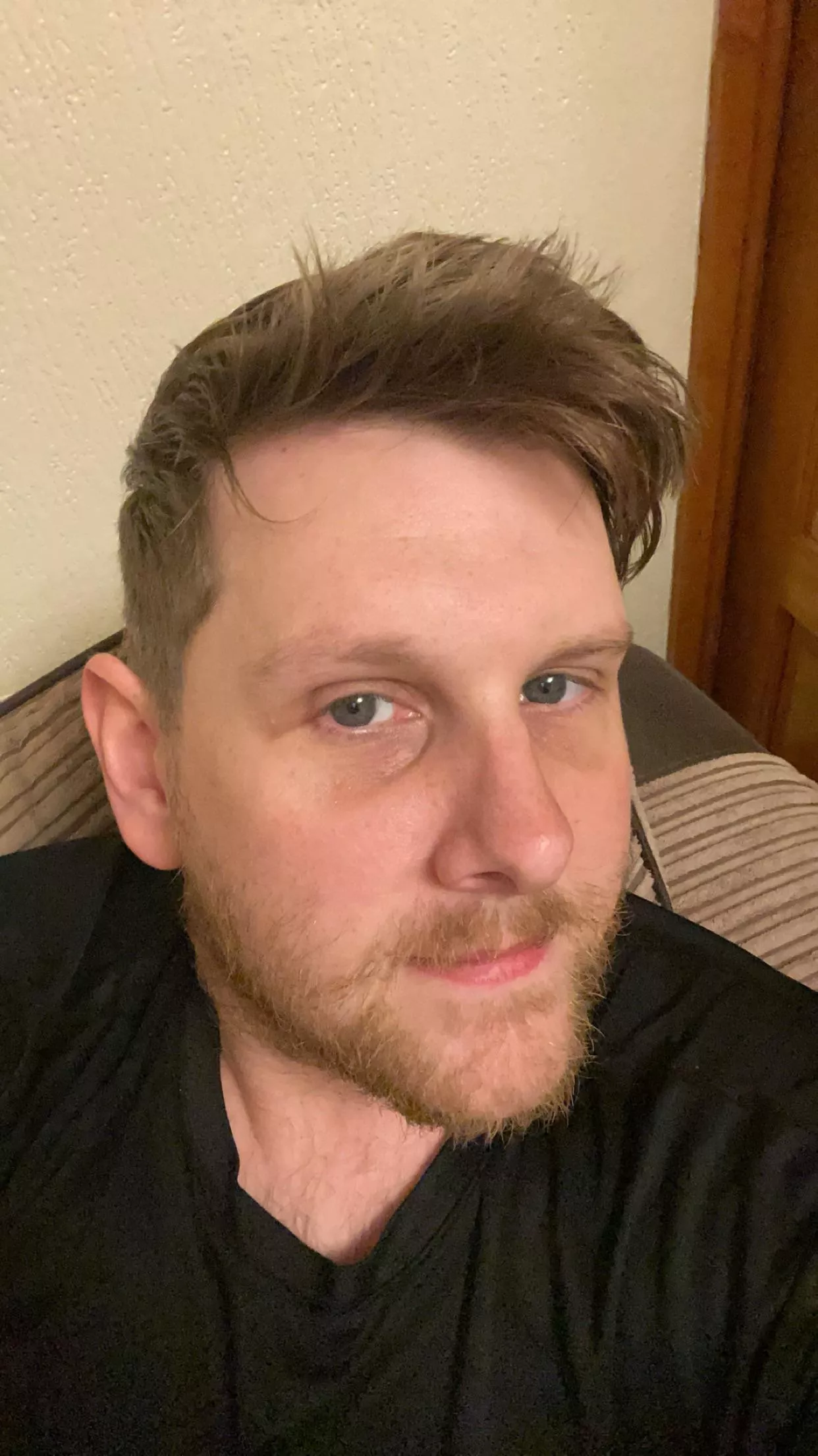 Felt somewhat cute today posted by agent-moose