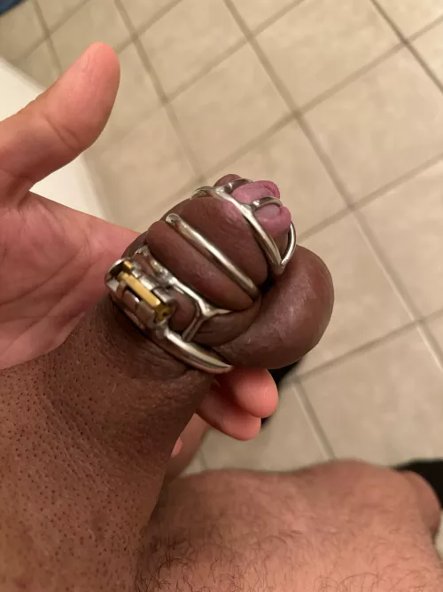Morning wood is literally the hardest part of chastity by freakygymrat