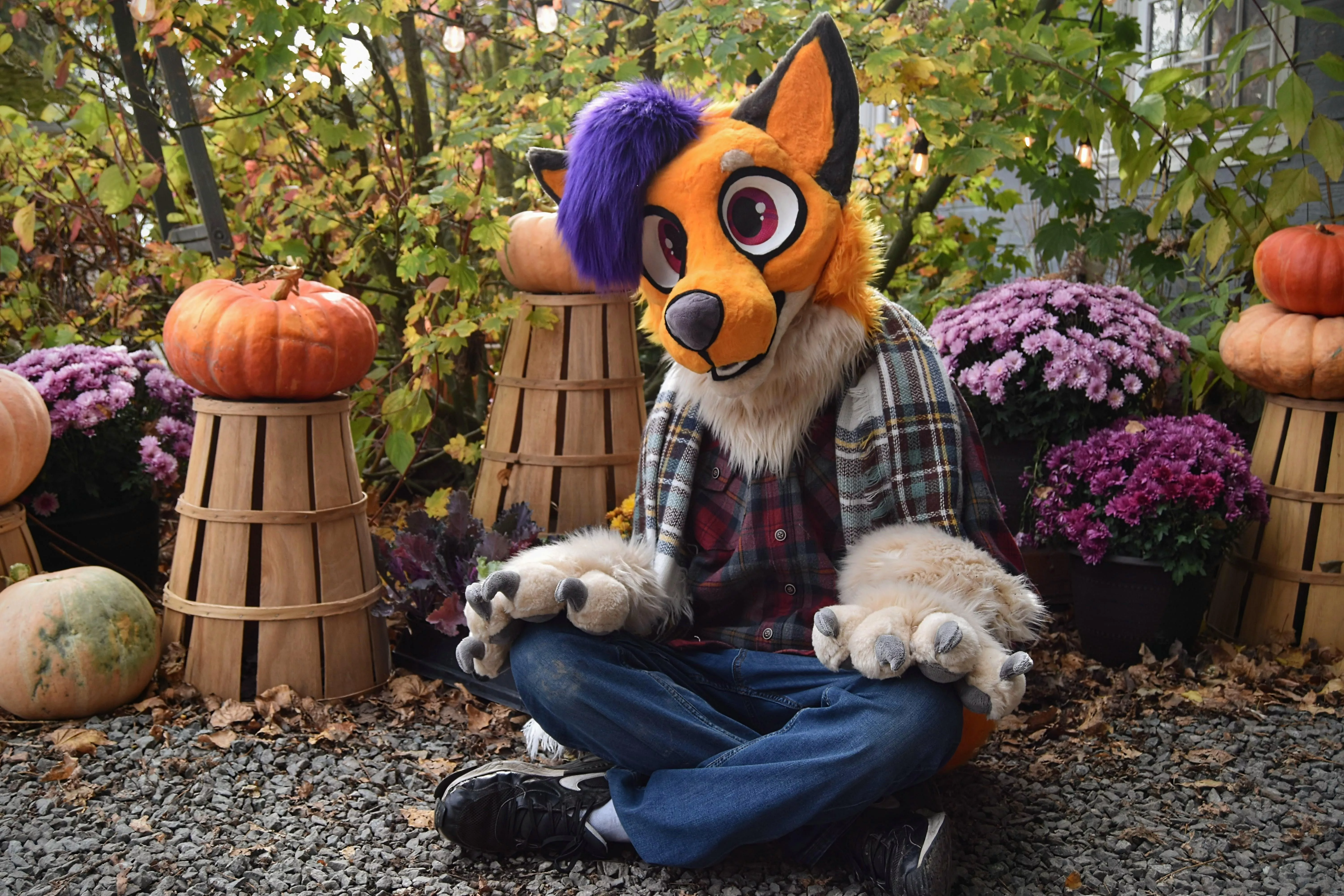 My favorite fursuit picture out of all the ones I've taken hehe. posted by Onedeadlymouse