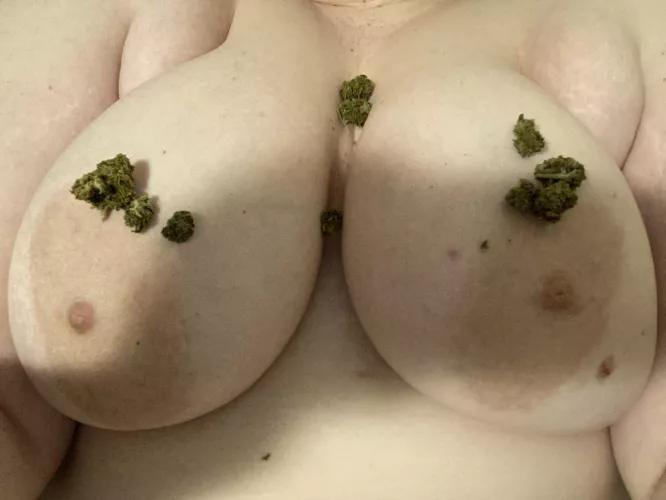 oops i spilled my nugs. wanna help me clean it? (f) by Bitter-Note3672