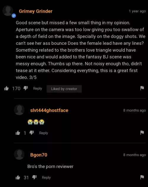 Pornhub critique by CanadagoBrrrr