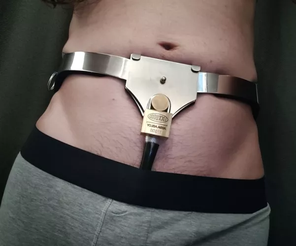 Rarely see full belt-style chastity here, lets change that up! Custom size Fancy Steel belt. by Xogador12
