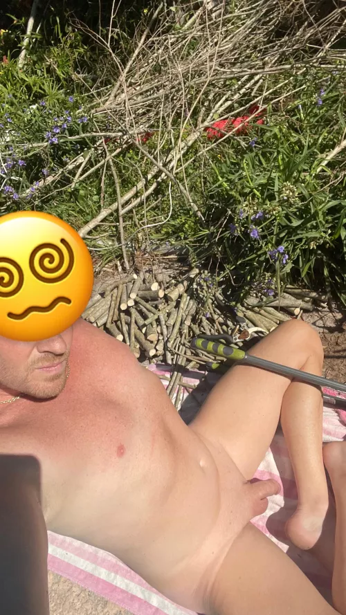 So….much….wood by Floridaextreme