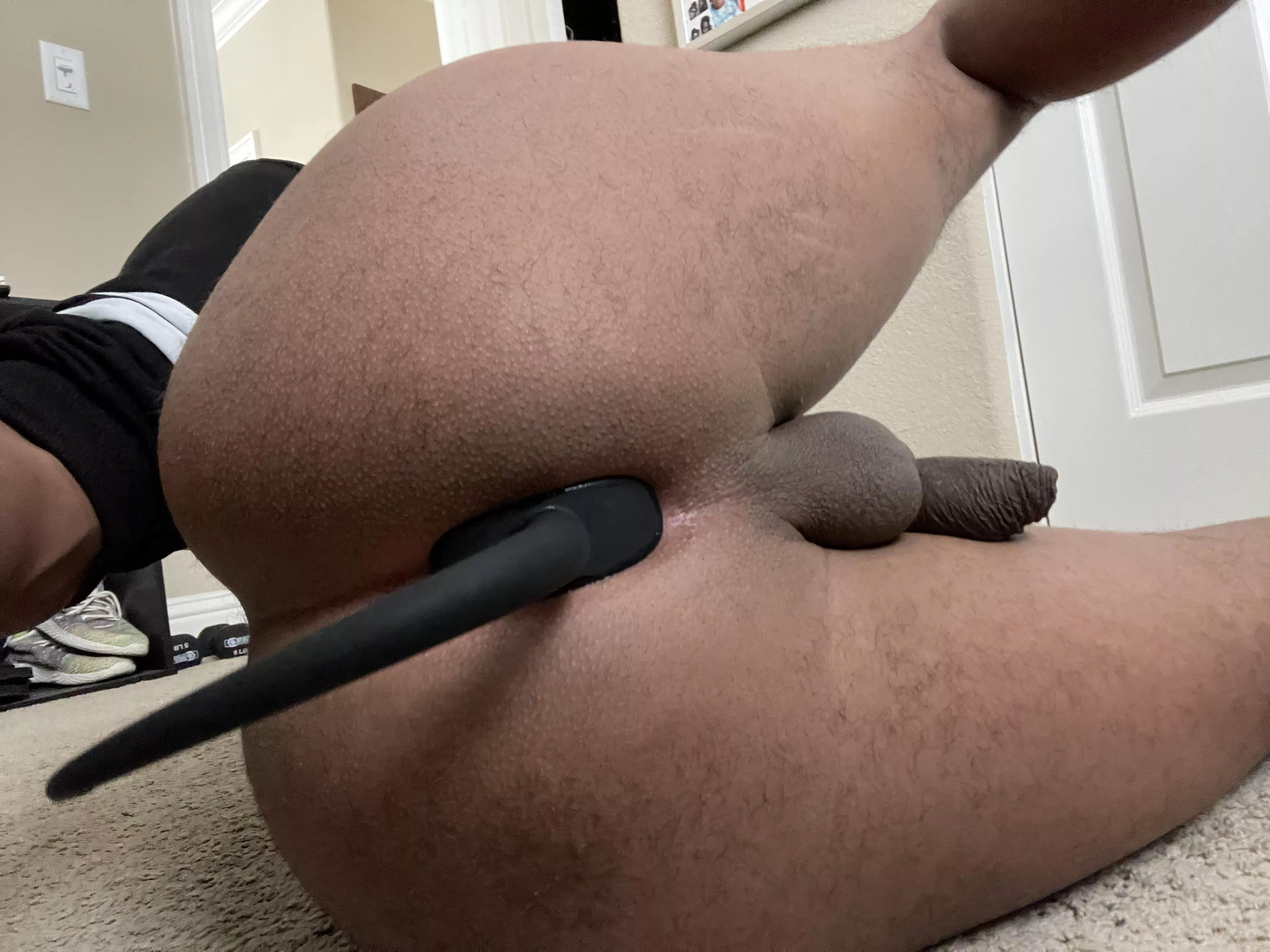 Tug on my tail posted by Demonicpuppo