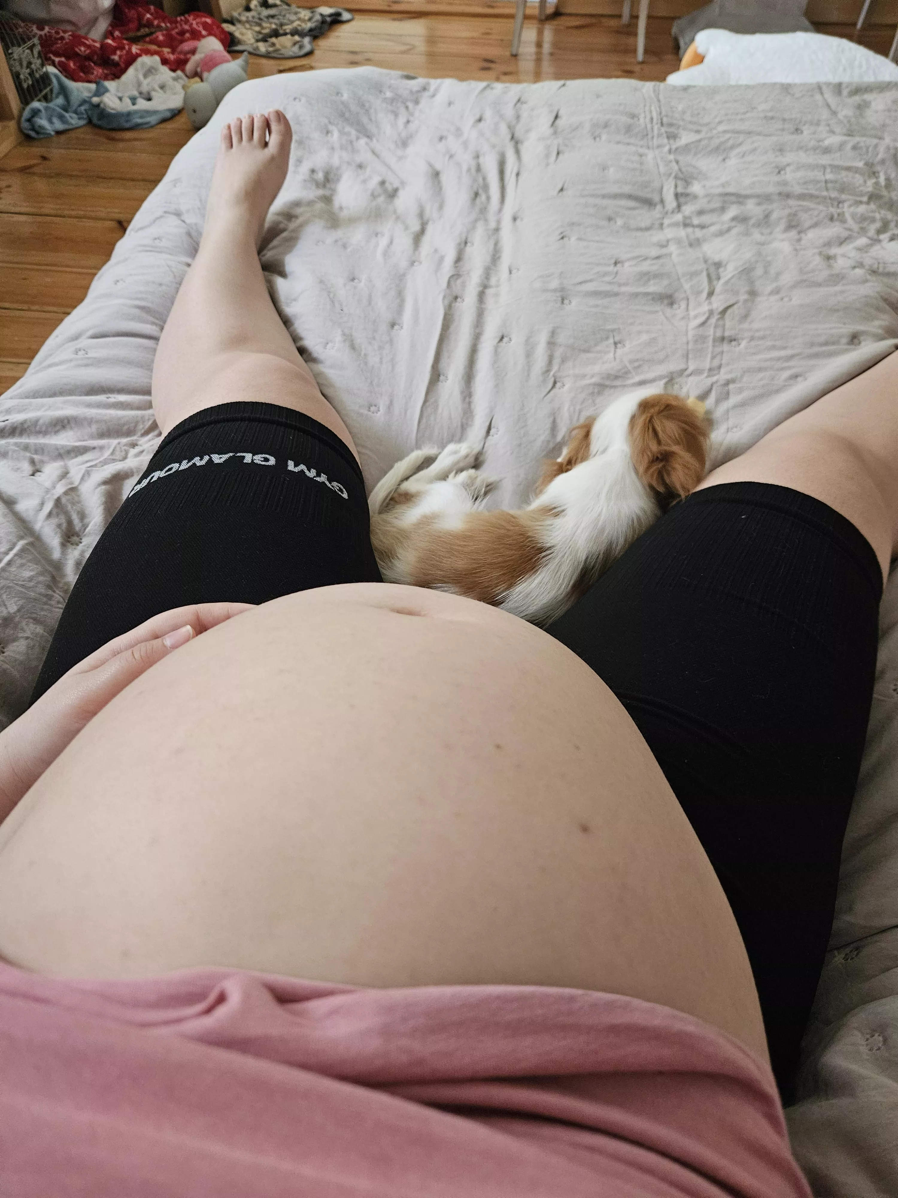 What month of pregnancy do you think it is? posted by cutiedonutpl