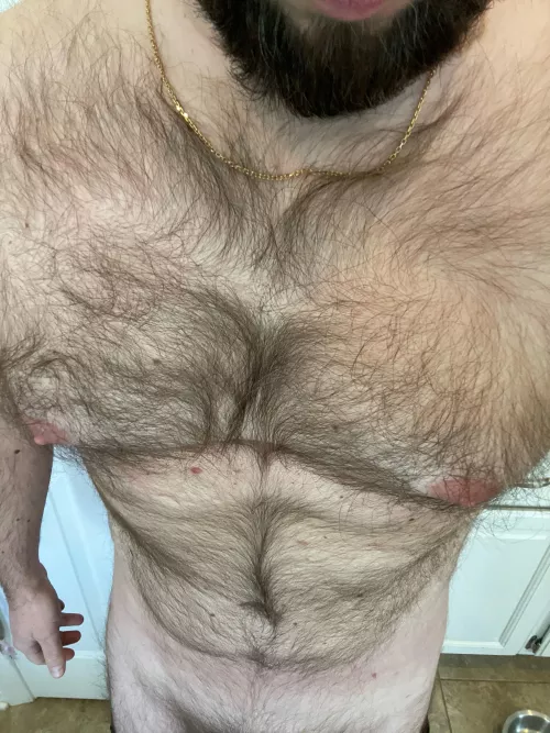 [36] hairy married masculine looking for similar men to connect by bryc244