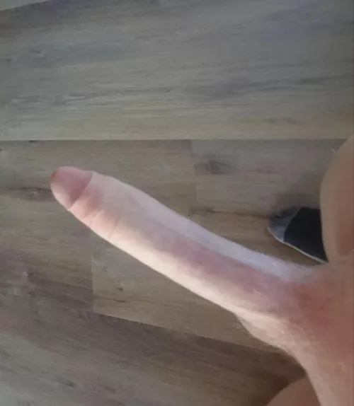 Aussie water must have something in it. How else can my cock be this massive at just 18yrs old. by HungFish26