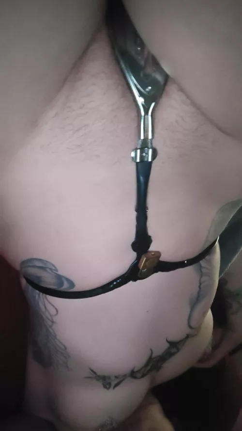 Day 2 by DaddysKitten0229