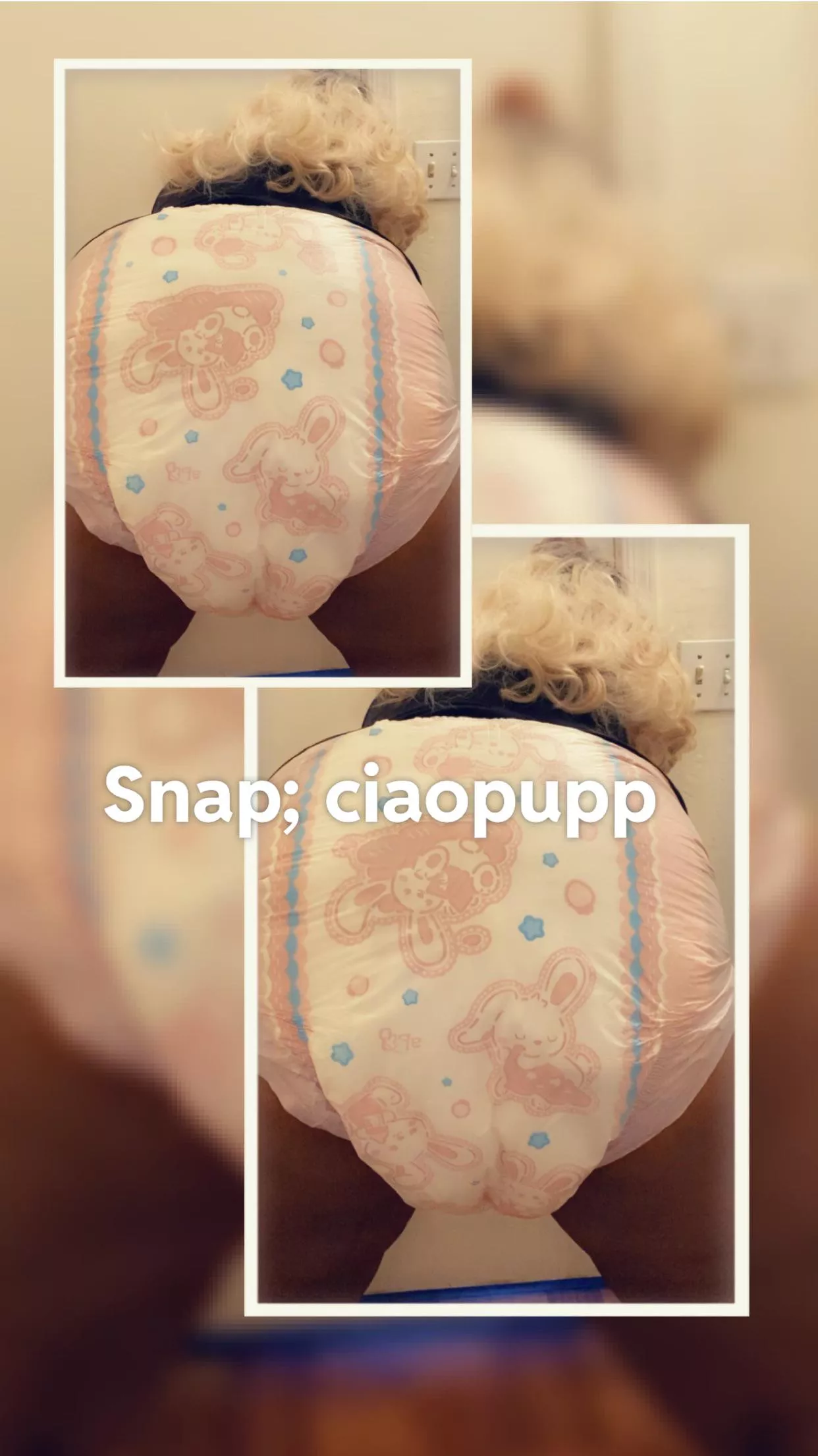 Dear Digital Diary ✨ posted by Ciaopupp