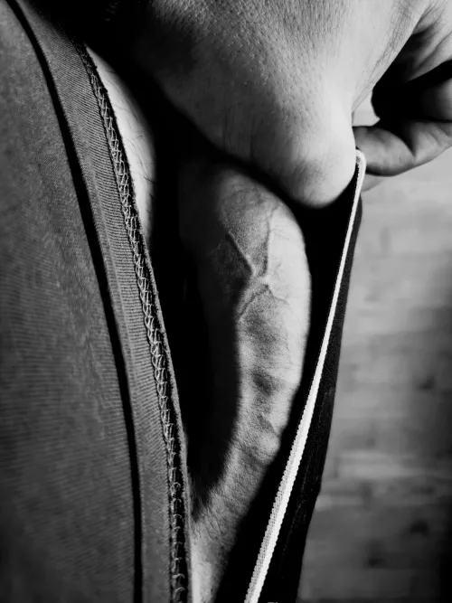 glimpse. by willgrahamthird