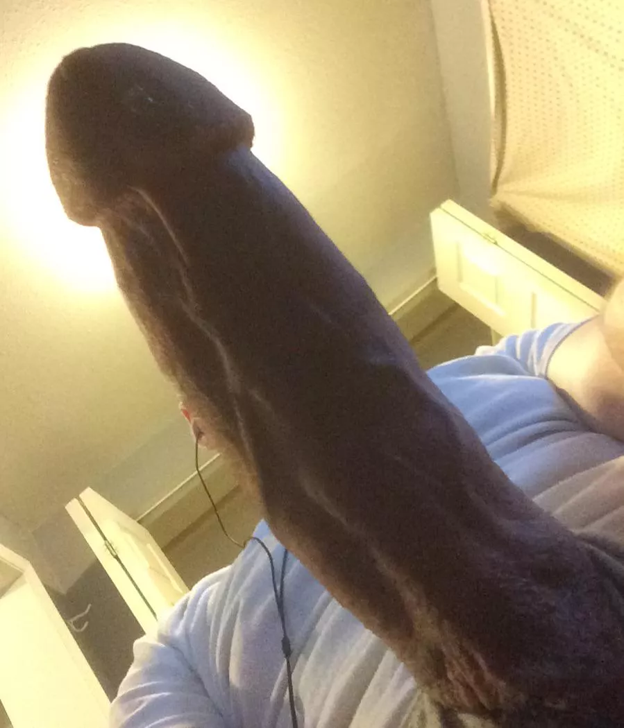 Heard you like eclipse’s 🙂 posted by travelers_insurance