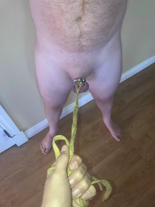 Here, pussy pussy pussy 🫣😻🫦 by Anastasia69foryou