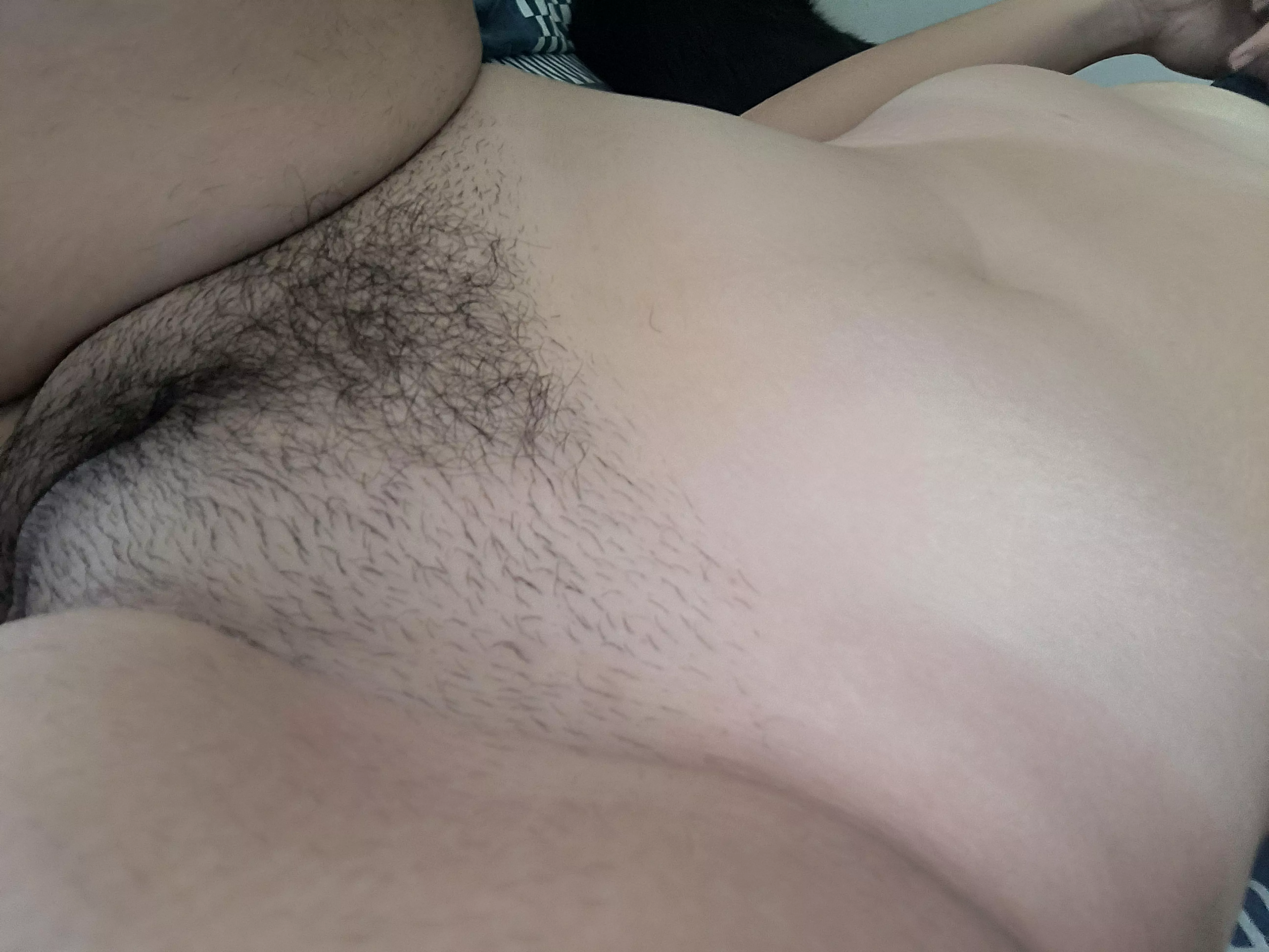 I want to let it grow even more! So you can rest your head in my bush posted by MissFantasyxxx