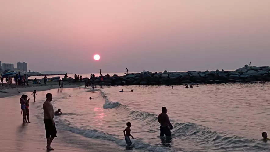 Is it true that life is tastier in the sea? by salome2024