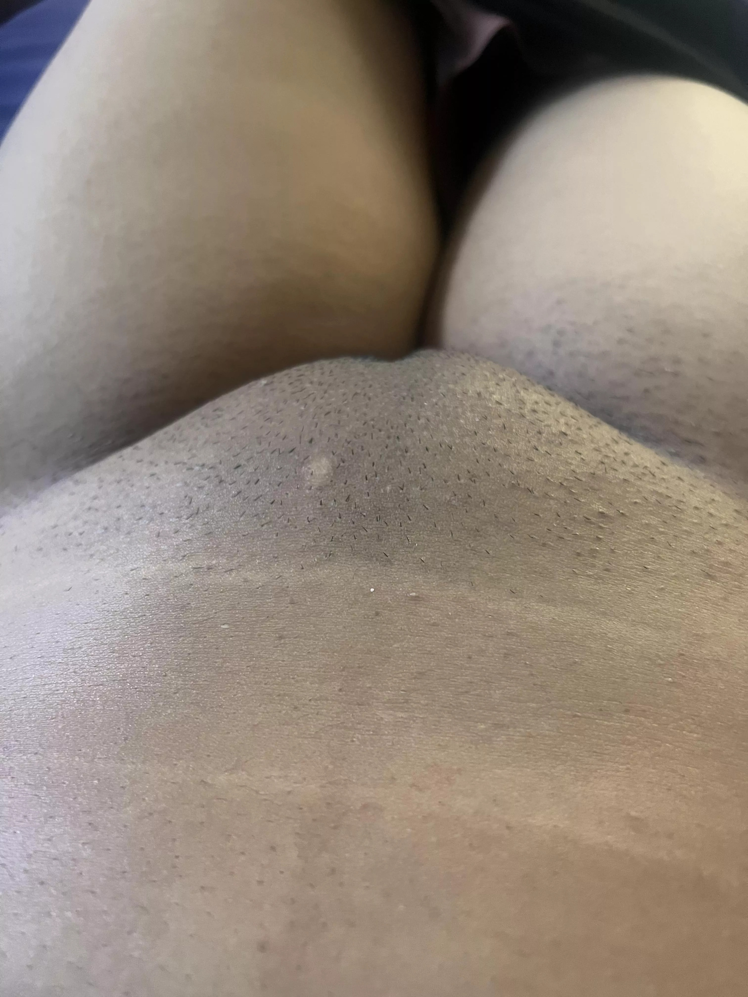 Little stubbly mound posted by SZA_zz