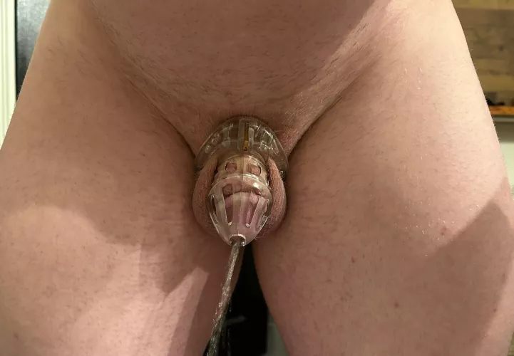 Locked Up by Odd-Plantain3880