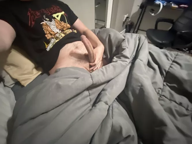 Looking to breed by thebigone995