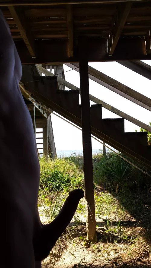 Love the beach by mikenove